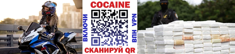 COCAIN Fish Scale Темников