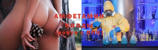 трава Абаза